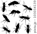various poses of termites in black and white graphics, in motion and static,silhouette 103034139