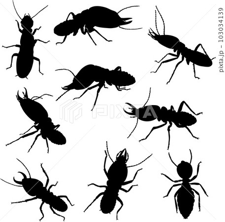various poses of termites in black and white graphics, in motion and static,silhouette 103034139