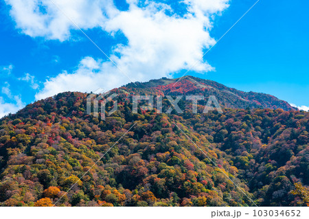 【日本百名山】国道438号から望む秋晴れの剣山1　徳島県三好市・美馬市・那賀郡那賀町 103034652