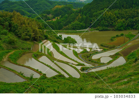 北庄の棚田 岡山県久米南町 北庄の棚田 岡山県久米南町 103034833