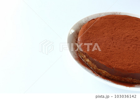 クッキー生地のチョコタルト クッキー生地のチョコタルト 103036142