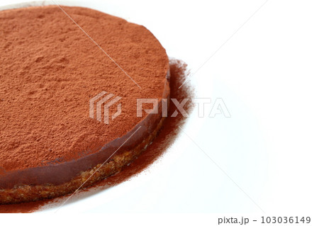 クッキー生地のチョコタルト 103036149