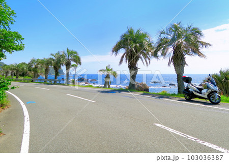 伊豆半島・南伊豆・石廊崎の手前、下田石廊松崎線、海岸線ドライブのイメージ・静岡県南伊豆町(2) 103036387