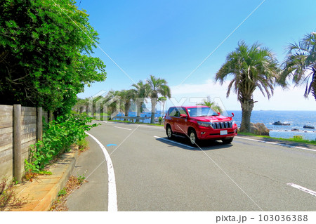 伊豆半島・南伊豆・石廊崎の手前、下田石廊松崎線、海岸線ドライブのイメージ・静岡県南伊豆町(3) 103036388