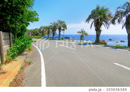 伊豆半島・南伊豆・石廊崎の手前、下田石廊松崎線、海岸線ドライブのイメージ・静岡県南伊豆町(4) 103036389