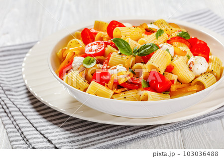 pepper tomato mozzarella pasta salad in bowl pepper tomato mozzarella pasta salad in bowl 103036488