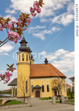 Cherry blossom branch and church of the George. Uzhhorod, Ukraine. Cherry blossom branch and church of the George. Uzhhorod, Ukraine. 103036674