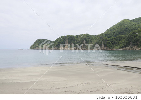 伊豆半島の松崎町の三浦の春 103036881