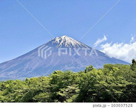 春の富士山景色 春の富士山景色 103037528