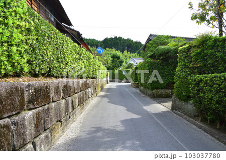 鹿児島県南九州市知覧の武家屋敷と周辺の風景 鹿児島県南九州市知覧の武家屋敷と周辺の風景 103037780