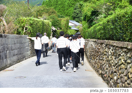 鹿児島県南九州市知覧の武家屋敷と周辺の風景 103037783