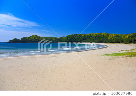 伊豆半島・南伊豆・白砂青松と弓なりの海岸線が美しい弓ヶ浜、静かな波と海風の景色・静岡県南伊豆町(1) 103037996