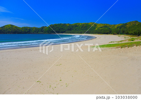 伊豆半島・南伊豆・白砂青松と弓なりの海岸線が美しい弓ヶ浜、静かな波と海風の景色・静岡県南伊豆町(4) 103038000