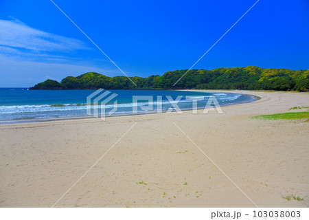 伊豆半島・南伊豆・白砂青松と弓なりの海岸線が美しい弓ヶ浜、静かな波と海風の景色・静岡県南伊豆町(6) 103038003