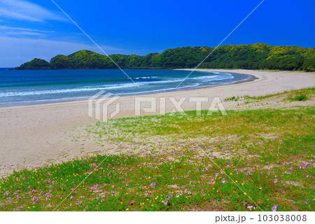 伊豆半島・南伊豆・光り輝く弓ヶ浜、白い砂浜と透明な海が作る美しい海岸の風景・静岡県南伊豆町(5) 103038008