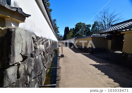 国宝姫路城 好古園の日本庭園と白壁 国宝姫路城 好古園の日本庭園と白壁 103038471