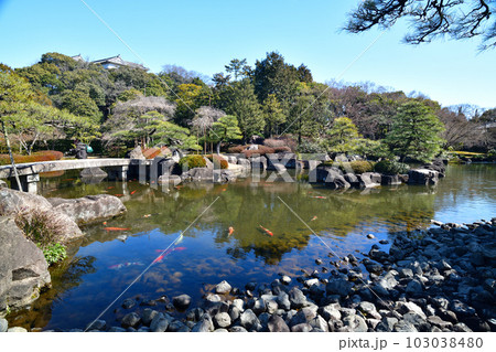 国宝姫路城 好古園の日本庭園と白壁 国宝姫路城 好古園の日本庭園と白壁 103038480