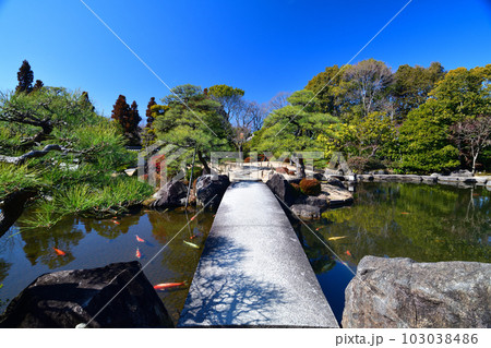 国宝姫路城 好古園の日本庭園と白壁 国宝姫路城 好古園の日本庭園と白壁 103038486