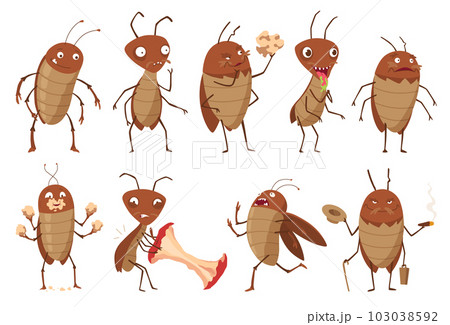 Dirt cockroach. Funny brown beetles collection. Different adorable parasites, wildlife stickers pack. Cartoon, insect pests vector illustration set Dirt cockroach. Funny brown beetles collection. Different adorable parasites, wildlife stickers pack. Cartoon, insect pests vector illustration set 103038592