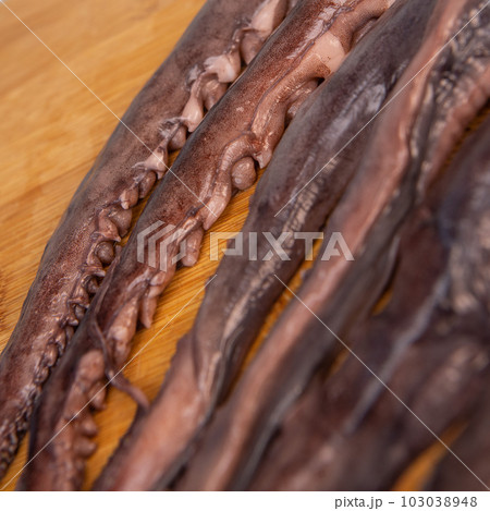 Whole fresh raw octopus on cutting board  103038948