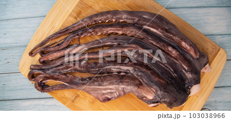 Whole fresh raw octopus on cutting board Whole fresh raw octopus on cutting board 103038966