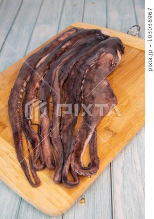 Whole fresh raw octopus on cutting board  103038967