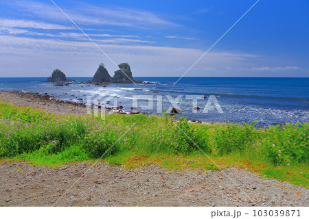 伊豆半島・南伊豆・逢ヶ浜(おうのはま)のイメージ、すずめ岩としゅうとめ岩・静岡県南伊豆町(2) 伊豆半島・南伊豆・逢ヶ浜(おうのはま)のイメージ、すずめ岩としゅうとめ岩・静岡県南伊豆町(2) 103039871
