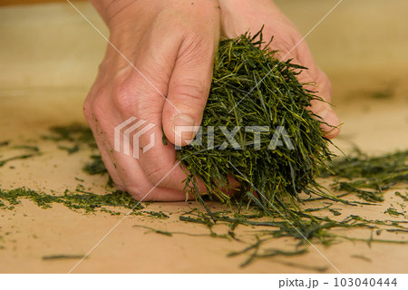 手もみ茶6 手もみ茶6 103040444