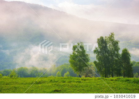 carpathian countryside with forested hills. view in to the distant valley full of fog. cloudy morning in springtime carpathian countryside with forested hills. view in to the distant valley full of fog. cloudy morning in springtime 103041019