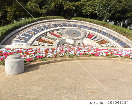 稲毛海浜公園花時計花壇のインパチェンス赤白ピンクの花 103041154