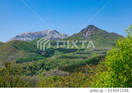 5月の大山 NO.1 5月の大山 NO.1 103041206