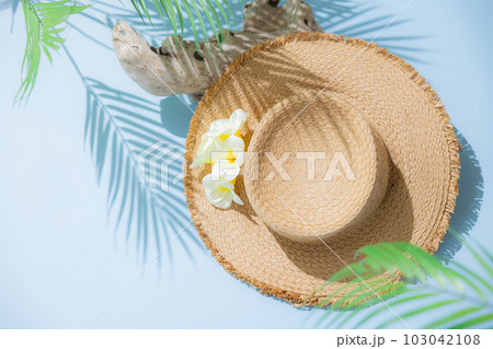 夏イメージ　背景 103042108