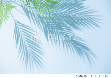 夏イメージ背景 103042240