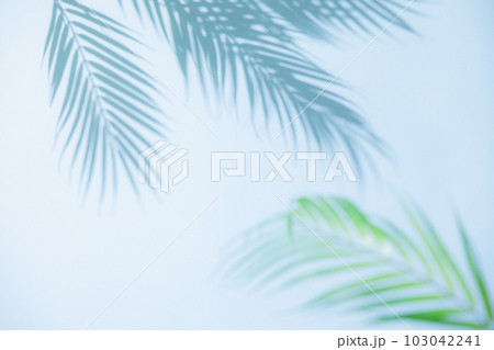 夏イメージ背景 103042241