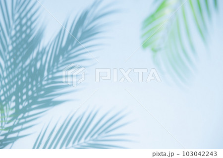 夏イメージ背景 103042243
