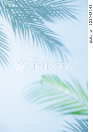 夏イメージ背景 夏イメージ背景 103042245
