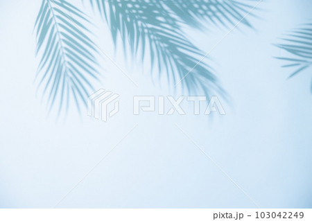 夏イメージ背景 夏イメージ背景 103042249