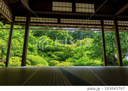 初夏の詩仙堂 丈山寺の風景 新緑の庭園 京都府京都市 初夏の詩仙堂 丈山寺の風景 新緑の庭園 京都府京都市 103043797