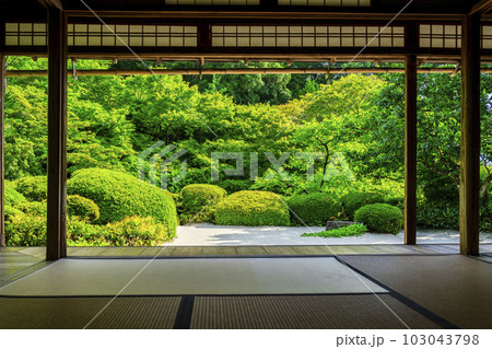 初夏の詩仙堂 丈山寺の風景 新緑の庭園 京都府京都市 初夏の詩仙堂 丈山寺の風景 新緑の庭園 京都府京都市 103043798
