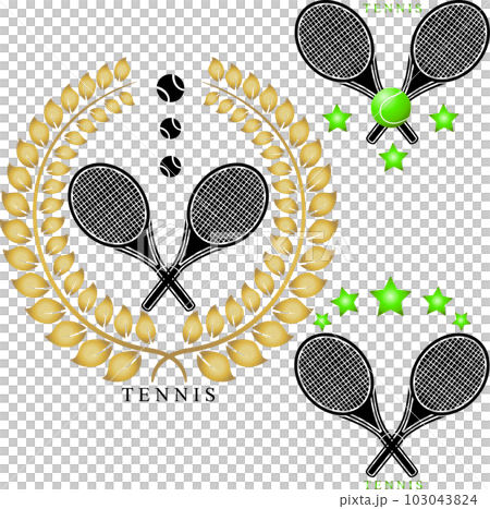 Collection accessory for sport game tennis 103043824