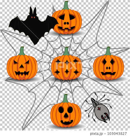 Collection accessory for celebration holiday Halloween 103043827