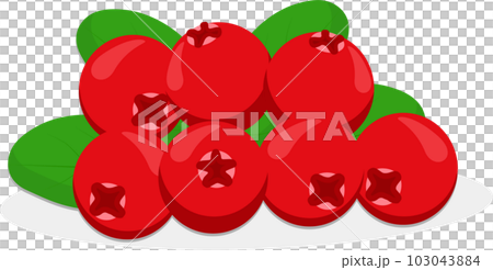 Sweet juicy tasty natural eco product cranberry 103043884