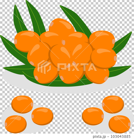 Sweet juicy tasty natural eco product sea buckthorn 103043885