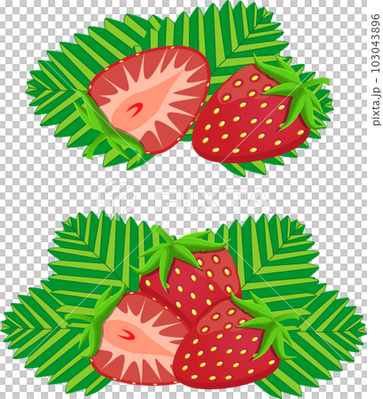 Sweet juicy tasty natural eco product strawberry Sweet juicy tasty natural eco product strawberry 103043896