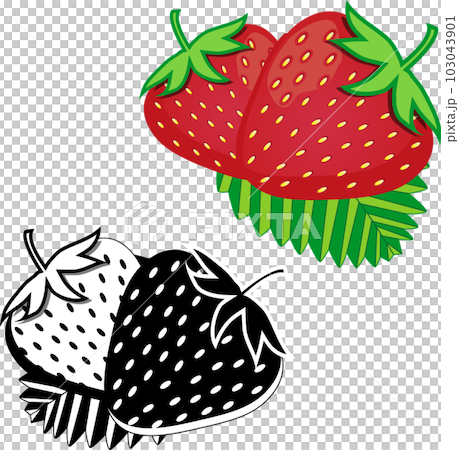 Sweet juicy tasty natural eco product strawberry 103043901