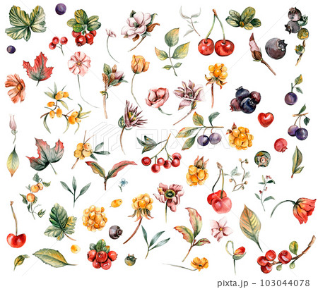 Watercolor set of fall flowers, leaves and berries. Hand drawn autumn leaves and elements. Hand drawn illustration of autumn. Perfect for scrapbooking, kids design, wedding invitation, posters. 103044078