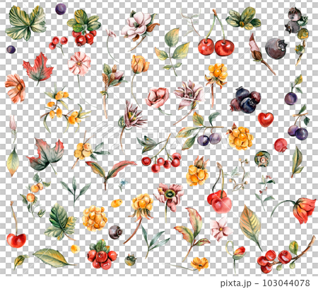 Watercolor set of fall flowers, leaves and berries. Hand drawn autumn leaves and elements. Hand drawn illustration of autumn. Perfect for scrapbooking, kids design, wedding invitation, posters. 103044078