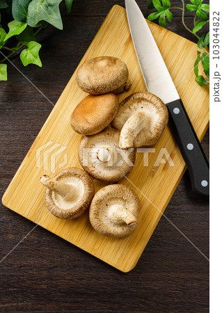 椎茸 103044822