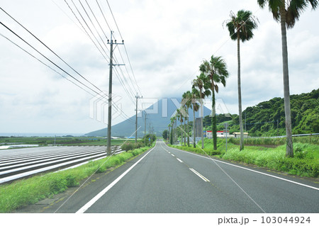 鹿児島県指宿市長崎鼻とその周辺の風景 103044924