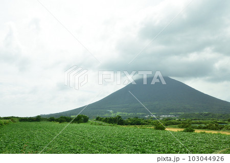 鹿児島県指宿市長崎鼻とその周辺の風景 鹿児島県指宿市長崎鼻とその周辺の風景 103044926